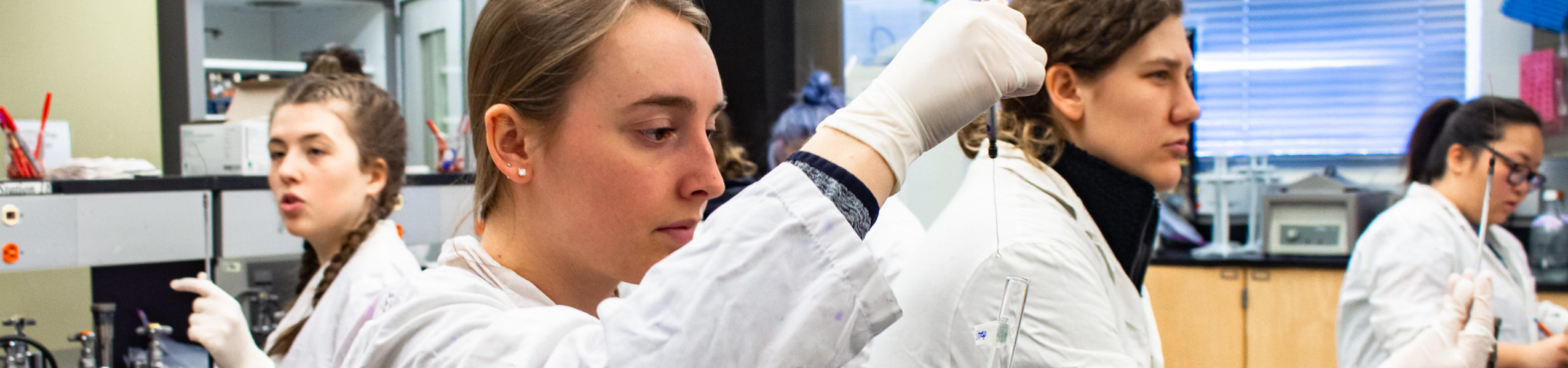 Medical Laboratory Science Major Image